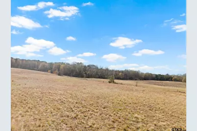 2332 Cr 2212, Pittsburg, TX 75686 - Photo 11