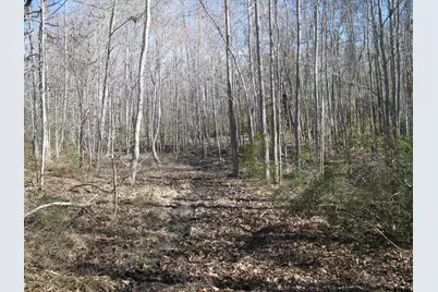 Tbd 133+/- Acres Cr 4701, Ben Wheeler, TX 75754 - Photo 17