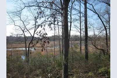 Tbd 133+/- Acres Cr 4701, Ben Wheeler, TX 75754 - Photo 3