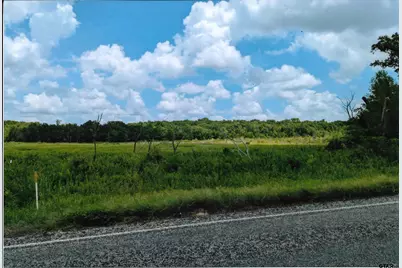 Tbd 133+/- Acres Cr 4701, Ben Wheeler, TX 75754 - Photo 33