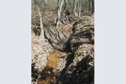 Tbd 133+/- Acres Cr 4701, Ben Wheeler, TX 75754 - Photo 25