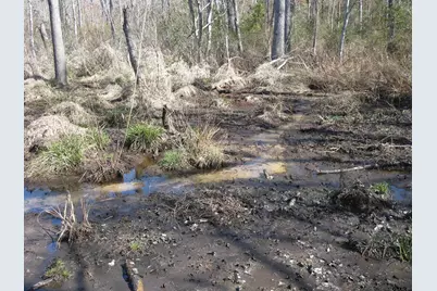 Tbd 133+/- Acres Cr 4701, Ben Wheeler, TX 75754 - Photo 19