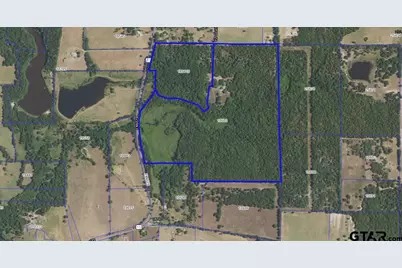 Tbd 133+/- Acres Cr 4701, Ben Wheeler, TX 75754 - Photo 35