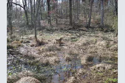 Tbd 133+/- Acres Cr 4701, Ben Wheeler, TX 75754 - Photo 15