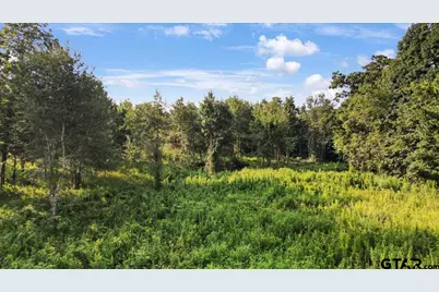 16508 Highway 31 East, Tyler, TX 75705 - Photo 13