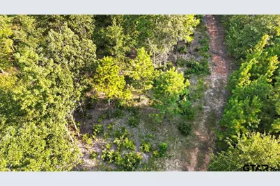 16508 Highway 31 East, Tyler, TX 75705 - Photo 11