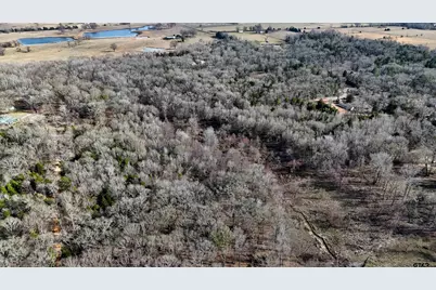 Tbd Cr 3801, Athens, TX 75752 - Photo 3