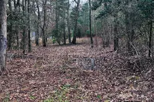 6550 Fm 2274 N, Jacksonville, TX 75766 - Photo 1