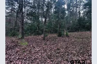 6550 Fm 2274 N, Jacksonville, TX 75766 - Photo 7