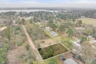 0 An County Road 3061, Frankston, TX 75763 - Photo 3