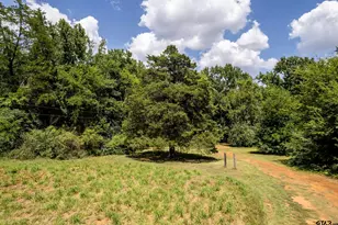 13174 County Rd 434, Lindale, TX 75771 - Photo 27