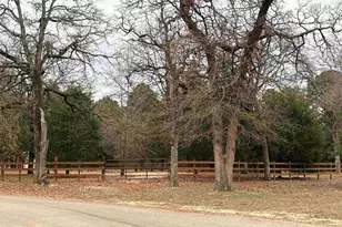 237 County Rd 2321, Mineola, TX 75773 - Photo 43