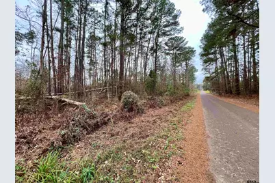 Tbd Reddick Rd, Ore City, TX 75683 - Photo 11