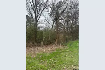 Tbd Cr 1804, Jacksonville, TX 75766 - Photo 1