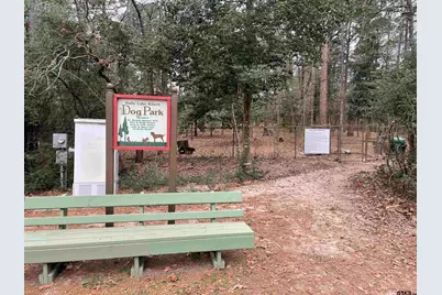 197 Holly Hill Circle #G223, Holly Lake Ranch, TX 75765 - Photo 35