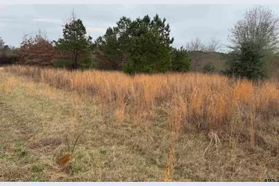 1335 San Saba, Bullard, TX 75757 - Photo 5