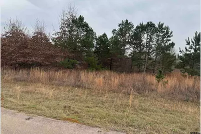 1335 San Saba, Bullard, TX 75757 - Photo 13