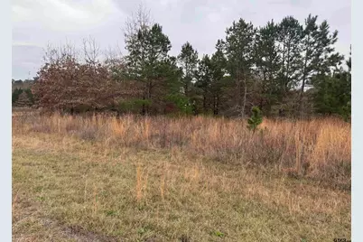 1335 San Saba, Bullard, TX 75757 - Photo 11