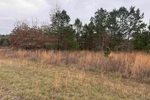 1335 San Saba, Bullard, TX 75757 - Photo 11