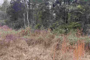 1150 Brazos, Bullard, TX 75757 - Photo 1