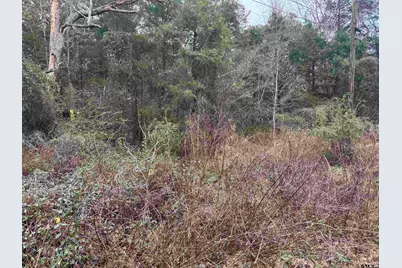 1150 Brazos, Bullard, TX 75757 - Photo 9