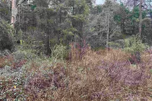 1150 Brazos, Bullard, TX 75757 - Photo 9