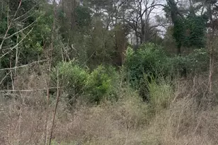 22781 Dogwood Trail, Flint, TX 75762 - Photo 1