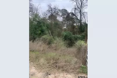 22781 Dogwood Trail, Flint, TX 75762 - Photo 3