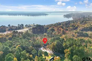 16971 Mary Martin Dr, Flint, TX 75762 - Photo 3