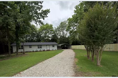 585 Sh 149, Tatum, TX 75691 - Photo 1