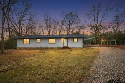 585 Sh 149, Tatum, TX 75691 - Photo 1
