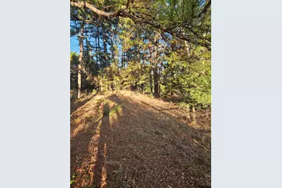 2059 St Hwy 135 N, Jacksonville, TX 75766 - Photo 13