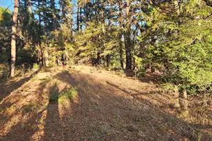 2059 St Hwy 135 N, Jacksonville, TX 75766 - Photo 13