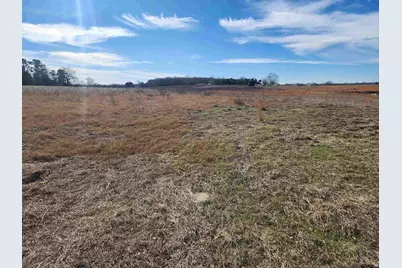 388 Cr 3211, Pittsburg, TX 75686 - Photo 1