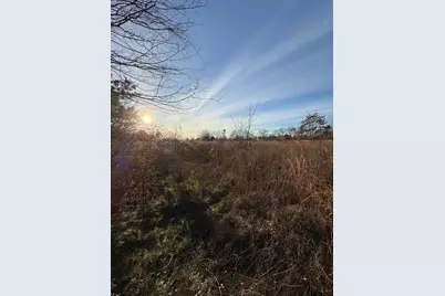 Tbd County Road 4950, Pittsburg, TX 75686 - Photo 3