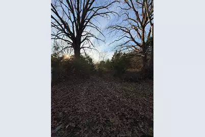 Tbd County Road 4950, Pittsburg, TX 75686 - Photo 1