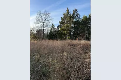 Tbd County Road 4950, Pittsburg, TX 75686 - Photo 11