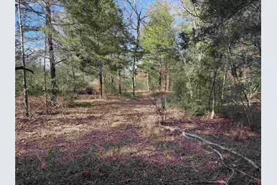 18235 County Road 295, Arp, TX 75750 - Photo 45