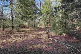 18235 County Rd 295, Arp, TX 75750 - Photo 45