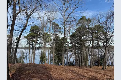 3268 Shadow Pine Dr Lot 61, LaRue, TX 75770 - Photo 9
