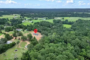 16890 County Rd 223, Tyler, TX 75705 - Photo 33