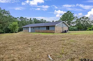 16890 County Rd 223, Tyler, TX 75705 - Photo 3