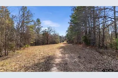 Tbd Highway 135, Troup, TX 75789 - Photo 1