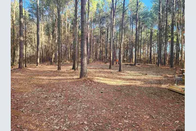 Tbd Cr 4313 Lot 6, Pittsburg, TX 75686 - Photo 1