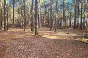 Tbd Cr 4313 Lot 6, Pittsburg, TX 75686 - Photo 1