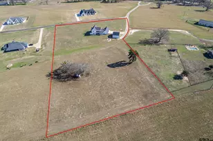 223 Riata Rd, Bullard, TX 75757 - Photo 33