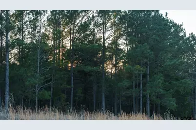 6008 Fm 344, Bullard, TX 75757 - Photo 37