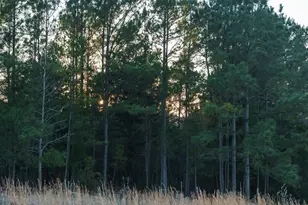 6008 FM 344, Bullard, TX 75757 - Photo 37