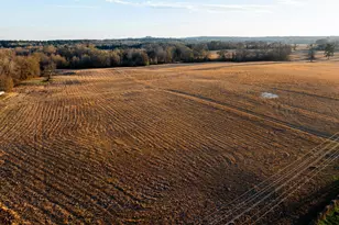 6008 FM 344, Bullard, TX 75757 - Photo 41