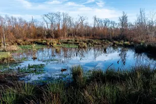 6008 FM 344, Bullard, TX 75757 - Photo 23
